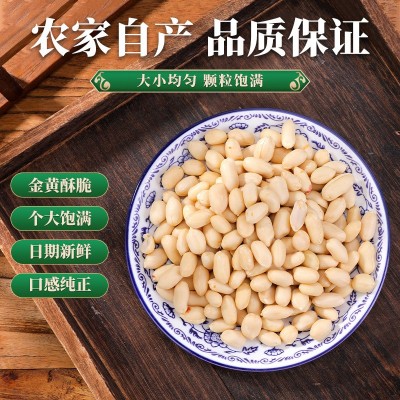 新鲜脱皮生花生米去皮花生仁山东生脱皮花生袋装50斤大量批发图4