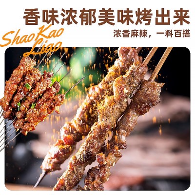 惠成烧烤肉串料东北烧烤风味烤羊肉串烧烤蘸料撒料干碟韩国烧烤料图5