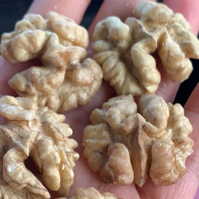 供应核桃及核桃仁图4