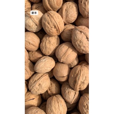 供应核桃图4