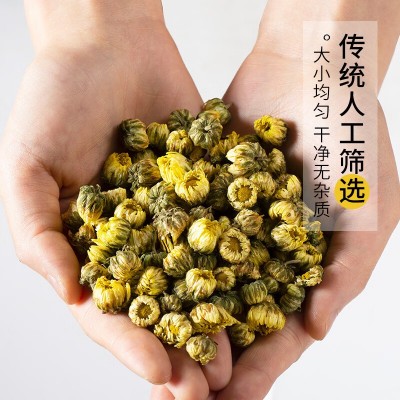 菊花茶胎菊王500g正宗非特级黄山贡菊金丝皇菊胎菊泡茶泡水 胎菊图5