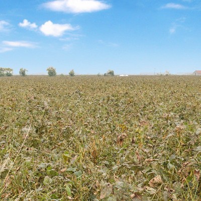 黑豆粉纯粉固体饮料粉药食同源粉源头工厂种植果蔬干粉膳食纤维图5