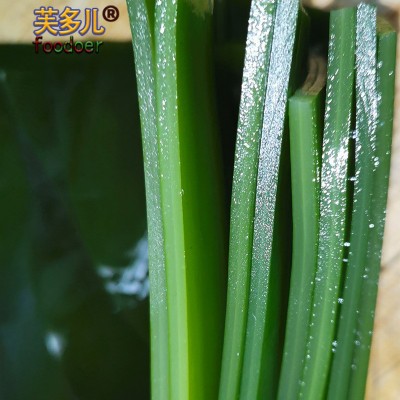 5斤装盐渍海带头厚海带整箱批发藻新鲜海带根块非干货长寿菜昆布图2