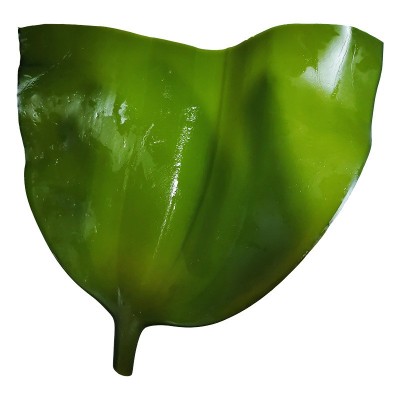 5斤装盐渍海带头厚海带整箱批发藻新鲜海带根块非干货长寿菜昆布图5