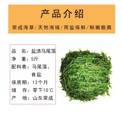 威海荣成新鲜盐渍马尾藻 鞭炮竹 海藻 海草 长寿菜5斤装厂家直售图3