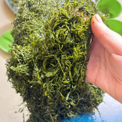 威海荣成新鲜盐渍马尾藻 鞭炮竹 海藻 海草 长寿菜5斤装厂家直售图1