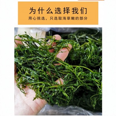 威海荣成新鲜盐渍马尾藻 鞭炮竹 海藻 海草 长寿菜5斤装厂家直售图2