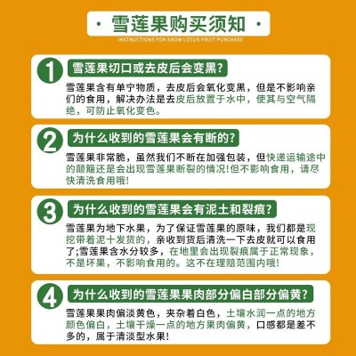 云南天山黄心雪莲果新鲜水果脆甜多汁低糖黄心脆甜现挖大果可代发图3