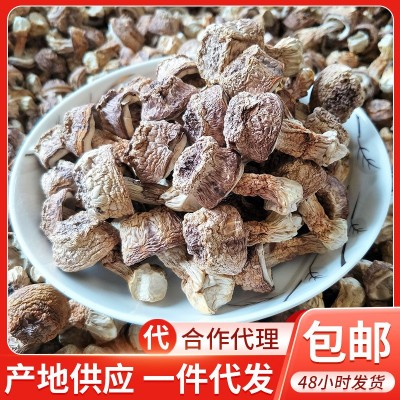 云南特产本色姬松茸干货2斤 巴西菇 汤料包菌菇大货批发一件代发