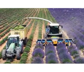 盘点农机收获的解压时刻。