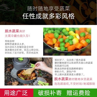 脱水蔬菜干食品级原料脱水胡萝卜干胡萝卜粒胡萝卜丁脱水胡萝卜图3
