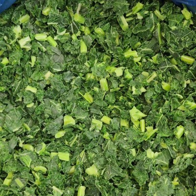 冷冻羽衣甘蓝 速冻羽衣甘蓝 冰冻预制菜 工厂直发图3