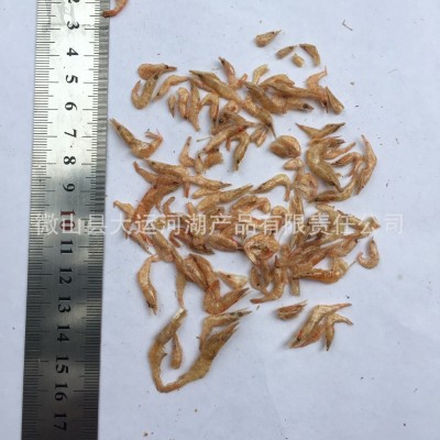 淡水虾干日晒1-2cm红虾干鱼粮龟粮水族饲料鸟粮巴西龟粮饲料图4