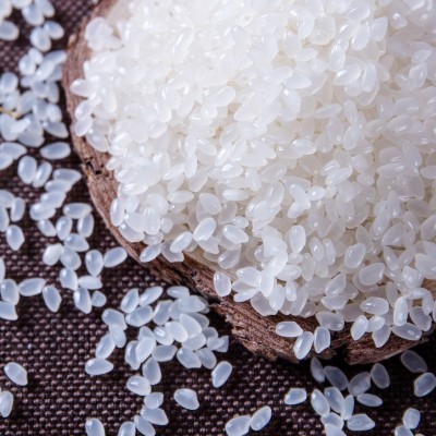 掌中禾大米5kg一袋东北大米10斤圆粒珍珠米新米十斤粳米现磨代发图3