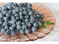 蓝莓冬季管理要点！做好这几点来年产量翻倍