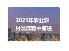 2025年农业农村发展稳中有进