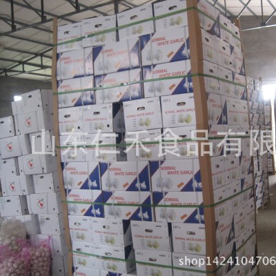 小包装 大蒜GARLIC，量大从优源头金乡鲜蒜厂家供货出口中东图2