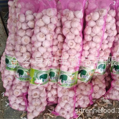 小包装 大蒜GARLIC，量大从优源头金乡鲜蒜厂家供货出口中东图4