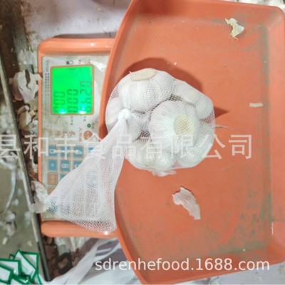 小包装 大蒜GARLIC，量大从优源头金乡鲜蒜厂家供货出口中东图3