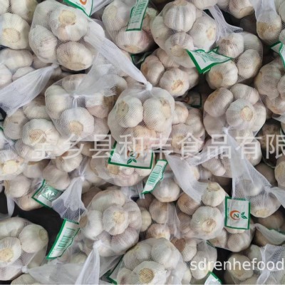小包装 大蒜GARLIC，量大从优源头金乡鲜蒜厂家供货出口中东图5