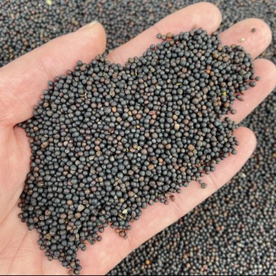 踏水坊有锅气四川浓香黄菜籽油非转基因食用油压榨菜籽油5L桶批发图2