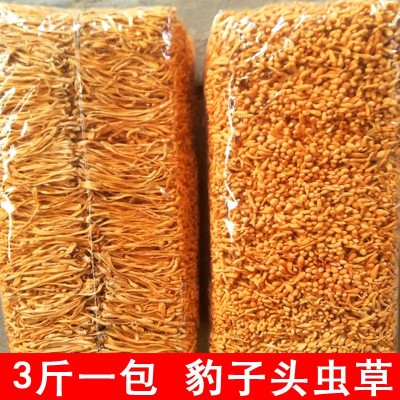 金虫草 虫草花批发袋装 北虫草 豹子头 食用菌 干货产地直销1000g图5