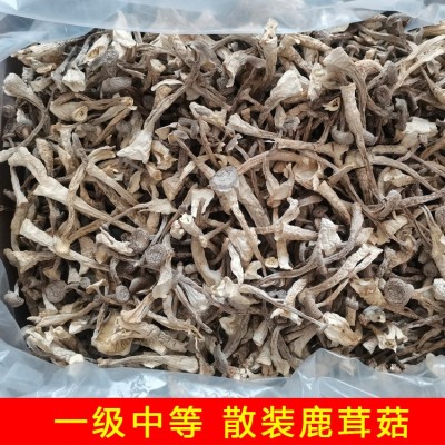 鹿茸菇鹿茸菌干货500g土特产农副产品食用菌酒店食材批发产地直供图2