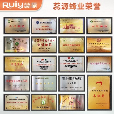【枣花蜜】赞皇蜂蜜蕊源蜂蜜三倍体枣花蜜成熟蜂蜜500克瓶装图2