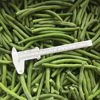 冷冻蔬菜馅料餐饮速冻青刀豆速冻厂家冷冻青刀豆冷冻四季豆刀豆图4