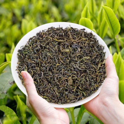 蓬江珠兰花茶清香型明前春茶绿茶400g袋装茶叶一件代发商用批发图4