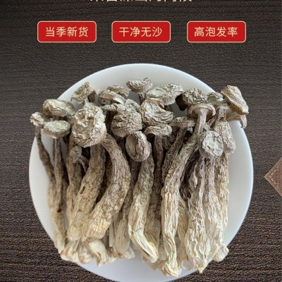 鹿茸菇特产干货农产品批发菌菇蘑菇脆脆菇炖汤500g厂家直供代发图4