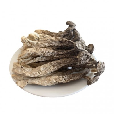 鹿茸菇特产干货农产品批发菌菇蘑菇脆脆菇炖汤500g厂家直供代发图2