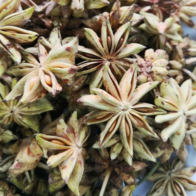 八角冻干八角大红八角八角茴香广西大红八角工厂现货直供50g 八角图4
