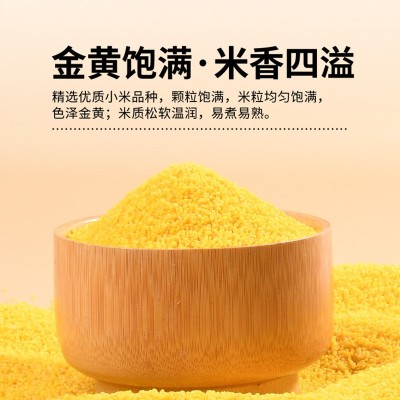 美丽农庄有机黄小米新米朝阳正宗黄金苗小米五谷杂粮熬粥米送宝宝图3
