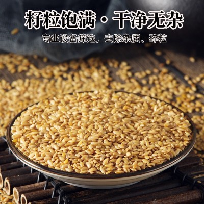有机黄金亚麻籽内蒙古生亚麻子仁种子循环葵瓜籽图2