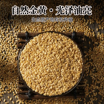 有机黄金亚麻籽内蒙古生亚麻子仁种子循环葵瓜籽