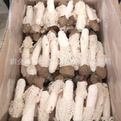 黑头竹荪 黑大头竹荪 260元/500g图2