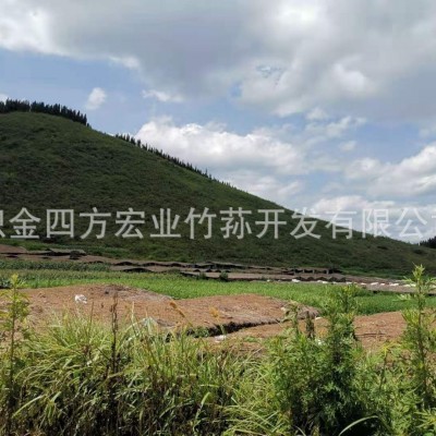黑头竹荪 黑大头竹荪 260元/500g图4