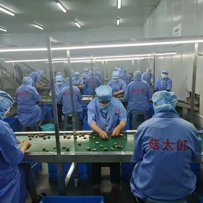 东北黑木耳干货散装批发价肉厚无根木耳干货黑木耳小木耳碗耳图3