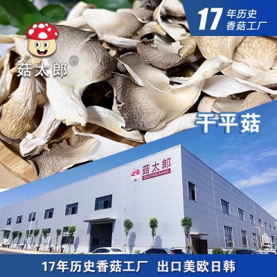 平菇凤尾菇鲍鱼菇蘑菇片平菇条平菇丝可出口商检出口基地备案图5