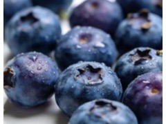 蓝莓越大越营养?4招教你选出好蓝莓