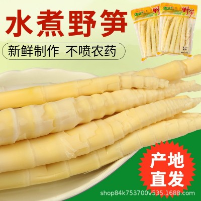 竹仙子清水小竹笋500克餐饮食材袋装厂家直供批发新鲜竹笋小嫩笋图2
