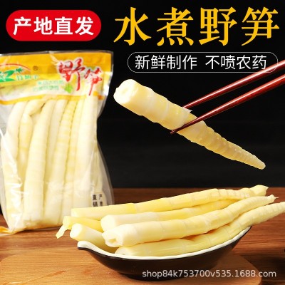 竹仙子清水小竹笋500克餐饮食材袋装厂家直供批发新鲜竹笋小嫩笋图4