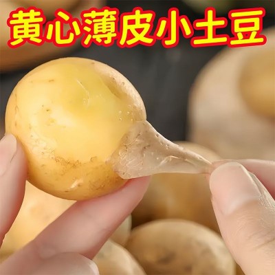 湖北蔬菜新鲜恩施小土豆黄皮黄心土豆农家自种马铃薯洋芋薄皮小鲜图2