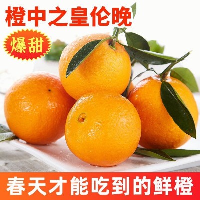 湖北秭归伦晚脐橙帝王橙甜橙新鲜橙子10斤水果香甜鲜果皮薄图5