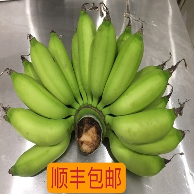 海南本地小米蕉整箱新鲜水果顺丰包邮小香蕉5/10/斤非广西红皮香图4