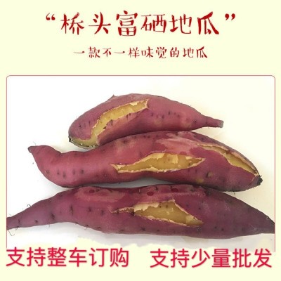 海南澄迈桥头富硒地瓜原产地批发板栗红薯富硒桥头地瓜精选大果图2
