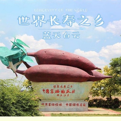 海南澄迈桥头富硒地瓜原产地批发板栗红薯富硒桥头地瓜精选大果图3