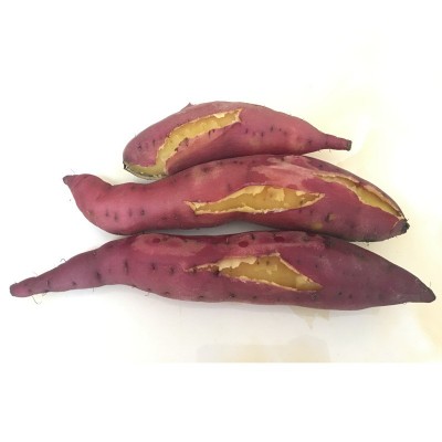 海南澄迈桥头富硒地瓜5/10斤装板栗红薯富硒桥头地瓜产地精选果