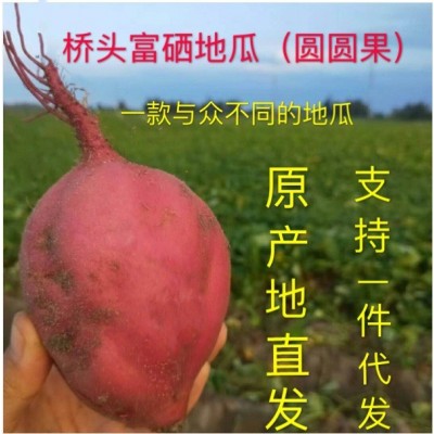 海南澄迈桥头富硒地瓜5/10斤装板栗红薯非六鳌蜜薯 桥头产地直发图5